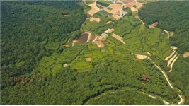 ㈜황칠코리아, 더 메디칼 황칠나무숲 조성 임업기술 토론회 개최