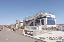 [농수축산신문-KMI 공동기획] 어촌여지도 ⑦ 천천히, 꾸준히, 마을이 살아가는 법 – 나정항의 실험