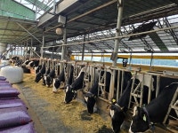 [창간3특집] 위기의 시대 돈 버는 축산