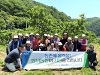 회덕농협 NH누리 봉사단, 복숭아 농가에서 일손돕기 봉사활동 개최