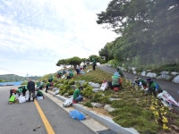 홍동면 남·여 새마을지도자, 환경정화를 위해 제초 작업 실시