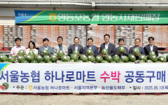 서울농협 하나로마트, 산지 직배송으로 수박 등 제철 농산물 할인판매