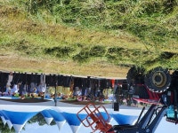 부여축협, 금강변서 들풀 수확작업 시연회