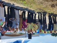 부여축협, 금강변서 들풀 수확작업 시연회