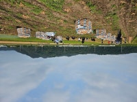 경북 고령군, 운수면 양파 농가 농촌일손돕기 실시