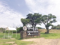 [Issue+] 방목생태축산, 지속가능한 축산 해법으로 떠올라