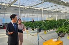 충남도, 2년 연속 청년정책 우수기관 선정… 청년농 육성 성과 눈길