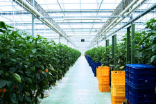 [Issue+] 이재명 정부 출범, 농정공약과 과제는 ③ 농산촌 혁신·미래전략산업화