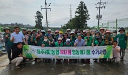 제주위미농협, 신례1리 부녀회, 영농폐기물 수거사업 실시