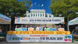 강원도청 앞마당에서 만나는 농심·천심… 2025 추석맞이 로컬푸드 직거래장터 성황