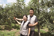 [탐방] 행복을 따는 사과농장 따봄농장 