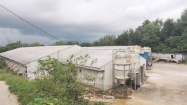 [기획] 농협경제지주 종돈개량사업소 가치와 역할 (上) 한국형 종돈 개량 추진