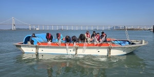 신안군수협, 보리새우 수산종자 방류 실시