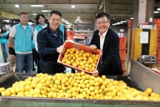 동광양농협, 제주 서귀포농협 APC 현장 견학