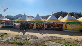 청송영양축협, 청송사과축제서 청하누 홍보…한우고기굼터 운영 호응