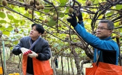 창원 웅동농협, 농신보 경남센터와 농촌일손돕기