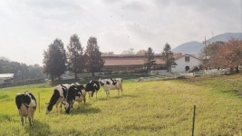 농도원 목장, 제1회 깨끗한 축산농장 우수사례서 최우수상