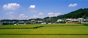 태양광‧바이오매스, 탄소 감축‧소득창출 농촌의 돌파구