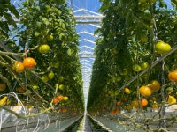 [특별기획] 자신의 이름을 브랜드로 품질 자신감을 담다 - 이서주 이서주농장 대표