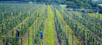 사과를 구독하다…애플카인드의 전략을 듣다