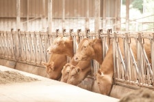 [2026 축종별 전망]