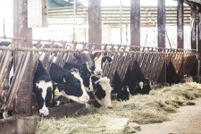 [2026 축종별 전망]