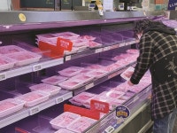 [2026 축종별 전망]