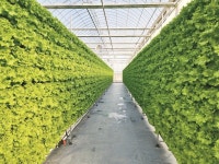 아산시, 현장에서 바로 쓰는 스마트팜 인재 육성