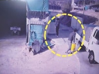 고병원성 AI 발생농장, 방역 미흡 잇단 적발