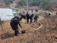 농협강원본부, 축산환경 소독의 날 행사 실시…친환경 축산 기반 강화
