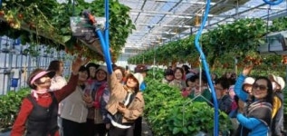 농협서울본부, 서울 농심천심(農心天心) 농촌 체험단 본격 운영