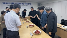 충남 육성 대추형 방울토마토, 가락시장서 시장성 검증