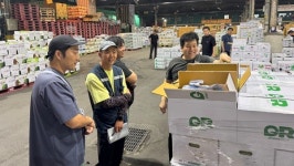 동화청과 청년농 교육이 실제 출하로 이어져