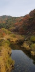 공주 공산성(公山城)을 거닐며 금강(錦江) 따라 숨겨진 역사와문화를 만나다  [최철호 칼럼]