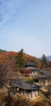 공주 공산성(公山城)을 거닐며 금강(錦江) 따라 숨겨진 역사와문화를 만나다  [최철호 칼럼]