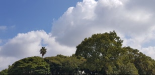 청정 제주(濟州)에서 역사적인 제주의 깊은 문화와 한라산(漢拏山)를 만나다 [최철호 칼럼]
