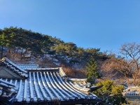 왕방산(王訪山) 선단동에서 전계대원군을 만나는 시간여행 [최철호 칼럼]