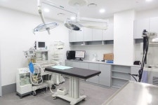 강아지 슬개골 탈구 질환의 치료와 수술, 주의할점은? [의료 칼럼]