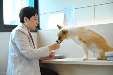 반려동물 분리불안 행동 문제, 행동진료로 원인 진단해야...치료 시작은 정확한 분석 [김준 원장 칼럼]