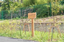 [교육이슈] 산불 피해 교정에 다시 숲을… 환경재단·롯데홈쇼핑, 청송여중·고 숨;편한 포레스트 완공