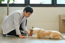 강아지의 반복적 마킹행동, 훈육보다 진료가 필요한 이유 [김준 원장 칼럼]