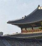 걷는다, ABOUT TIME [김철홍 칼럼]