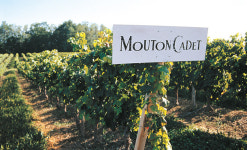 High-quality wine on a budget : French winery targets Koreans looking to save on luxury drinks