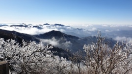 [포토] 무주덕유산리조트에 핀 겨울의 꽃 상고대
