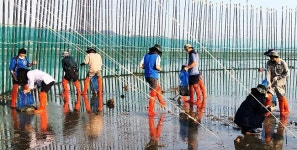 함평군, 낙지 산란‧서식장 조성사업 박차