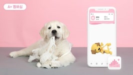 알파도펫, 반려동물 맞춤형 헬스케어 큐레이션 A+멤버십 구독 서비스 론칭