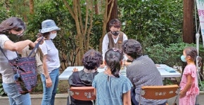 가을 낭만 장흥 우드랜드서 산림체험 하세요