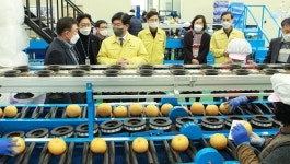 나주 배 산업 전국 최우수 지역특구 선정 쾌거…대통령 표창