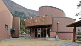 장흥군, 우드랜드 편백소금집 운영 재개