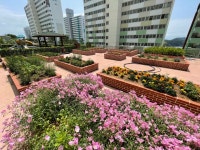 부산도시공사 공유텃밭 활용 공동체 활성화 프로그램 시행